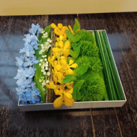 縞文様のデザイン 脊黒講師作品