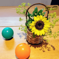 ひまわりもお祝いです。 町田教室 山口美知子