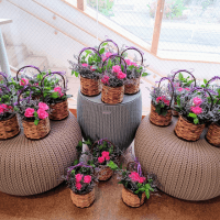 花の木保育園お誕生児が 17名も‼︎ 町田教室　山口美知子