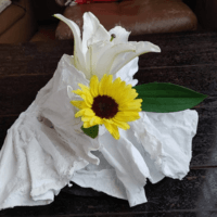 石膏を使ったデザイン　脊黒講師作品