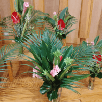 南の国のimage 花の木保育園　町田教室　山口美和子