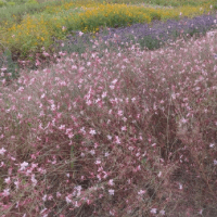 ソウル景福宮近くの公園
