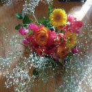 かすみ草で垣間見る花です