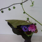 探究科の作品です